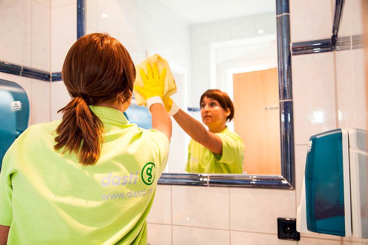 streifenfreie Reinigung von Spiegeln, Waschbecken, Toiletten, Pissuar, Wandfließen und Bodenflächen 